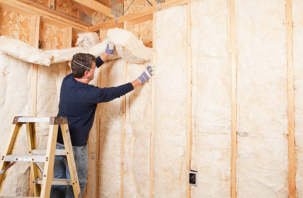 Best Blown-In Insulation in River Park, FL